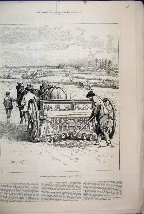 Print 1886 Agricultural Scenes February Drilling B
