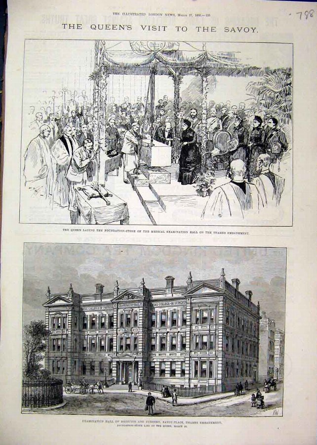 Print 1886 Queen Savoy Medical Hall Examination Su