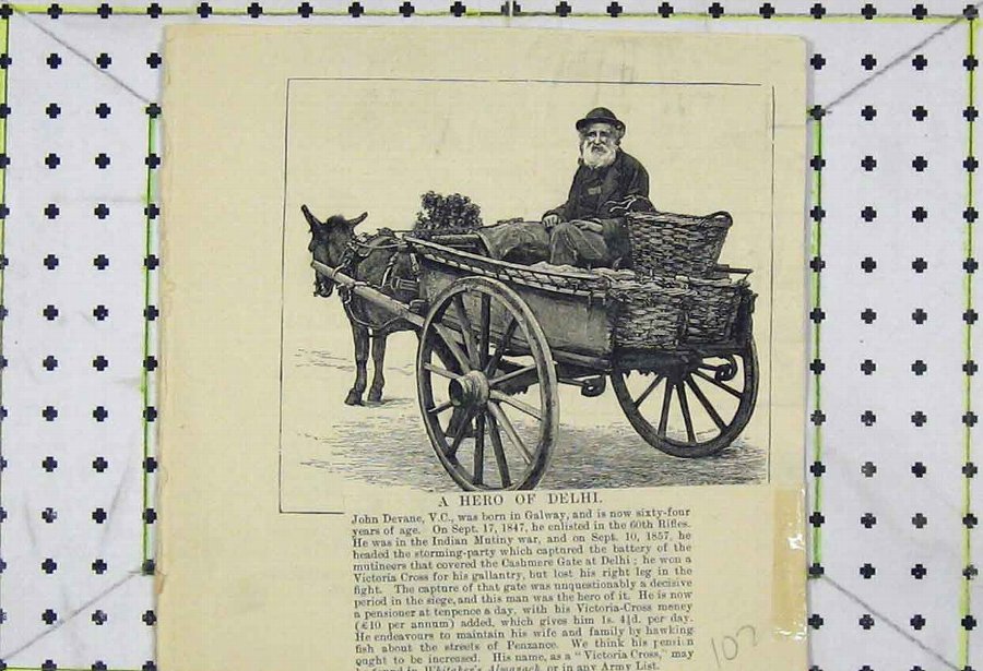 Print 1887 Victoria Cross Hero Man John Devane Don