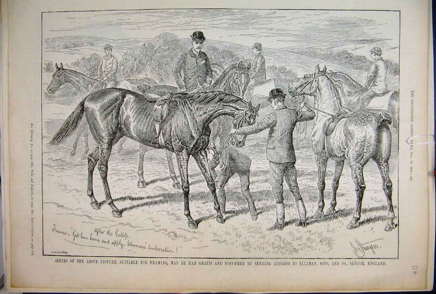 Print 1888 Horses Men Riding Countryside Ellmans L