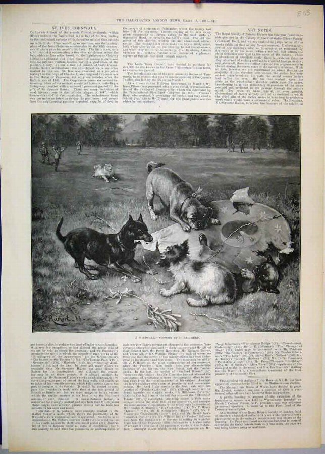 Print 1889 Dogs Playing Children Country Park 03MA