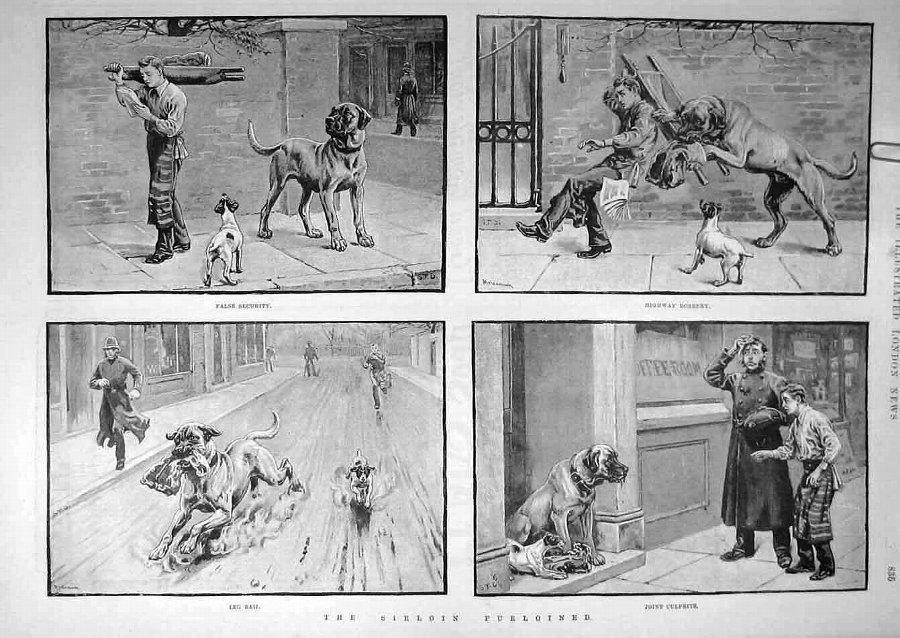 Print 1889 Sirloin Thief Dogs Butcher-Boy Sketch A