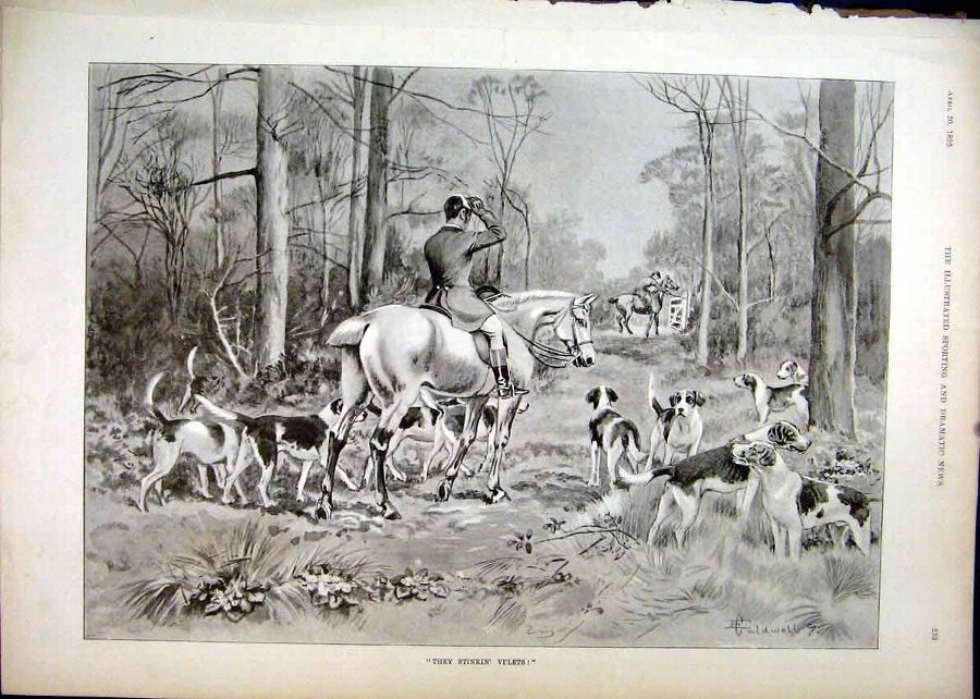 Print 1892 Hunting Hounds Horse Trees Country Scen