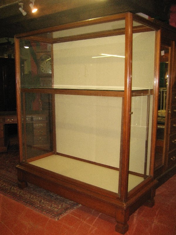 Edwardian Waring & Gillow Museum Display Cabinet