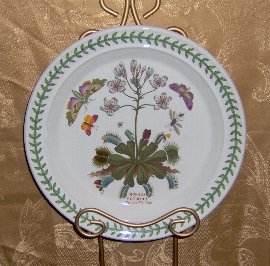 Antique PORTMEIRION CHINA BOTANICAL GARDEN Dinner Plates Set of 4 4