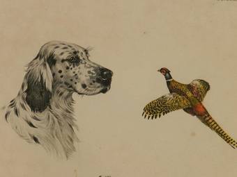 Antique Aquatint Etching of Working Dogs French Study by Boris Riab