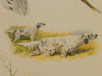 Antique Aquatint Etching of Working Dogs French Study by Boris Riab