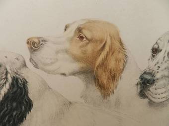 Antique Etching of Dogs by Leon Danchin French 18871938 Setters
