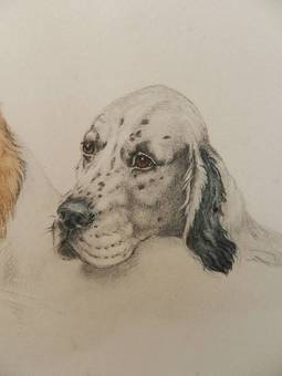 Antique Etching of Dogs by Leon Danchin French 18871938 Setters