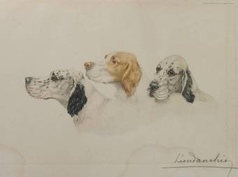 Antique Etching of Dogs by Leon Danchin French 18871938 Setters