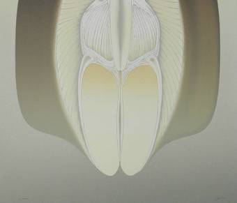 Antique Lithograph by Alain Le Foll hand signed limited edition Mid century