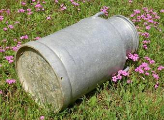 Antique Vintage French Milk Churn 