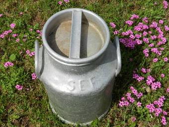 Antique Vintage French Milk Churn 