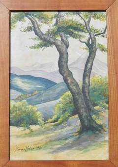 Antique Watercolour painting view to the French Pyrenees signed  dated 1940 