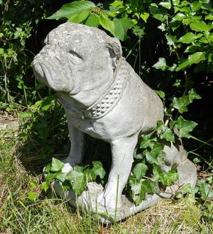 Antique Handsome British Bulldog Garden Statue composite stone 
