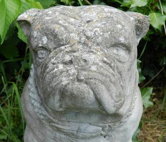 Antique Handsome British Bulldog Garden Statue composite stone 