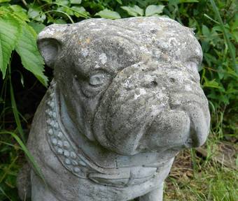 Antique Handsome British Bulldog Garden Statue composite stone 
