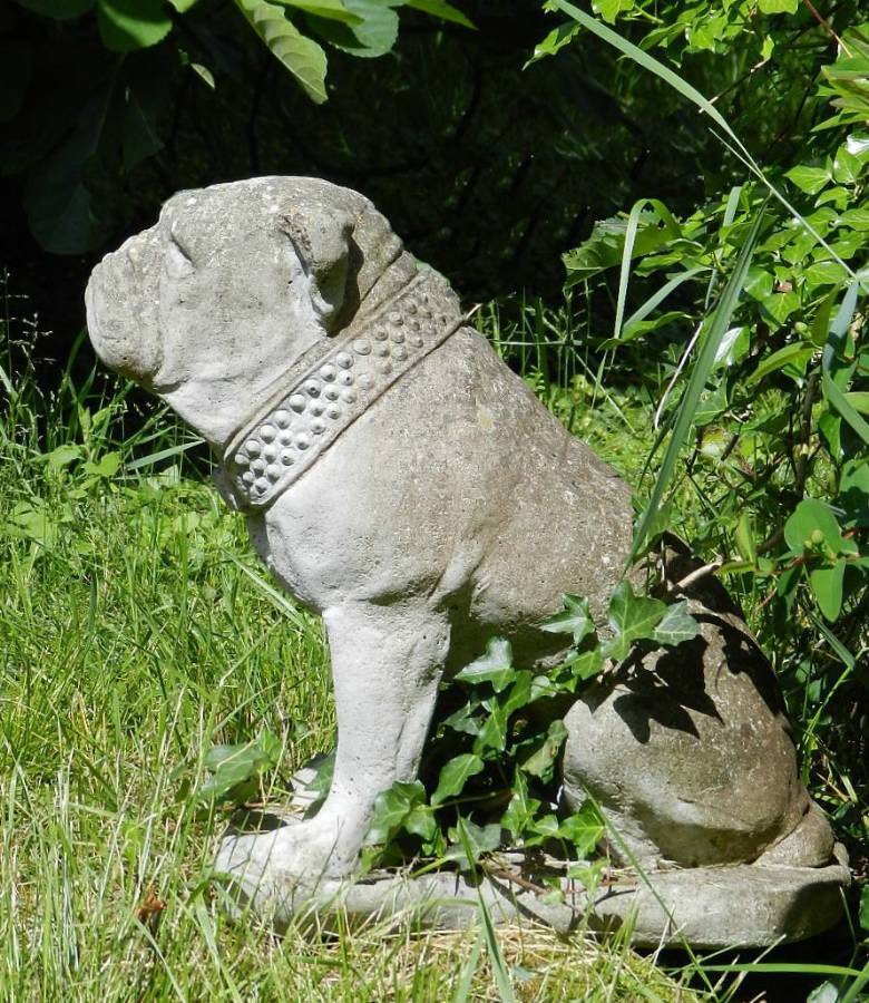 Handsome British Bulldog Garden Statue composite stone 
