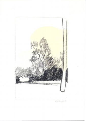 Untitled Trees