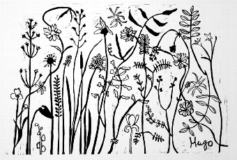 Florabunda 1