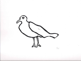 Seagull