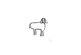Sheep
