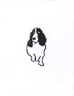 Spaniel