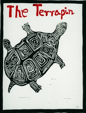 The Terrapin