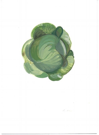 Untitled Cabbage