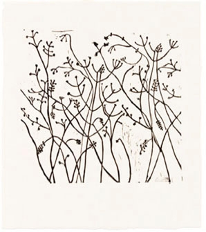 Winter Berries