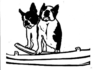 Boston Terriers