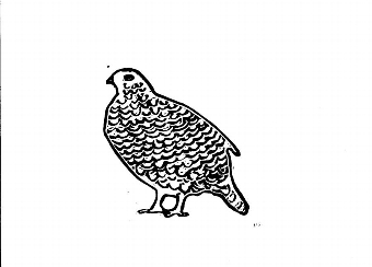 Grouse