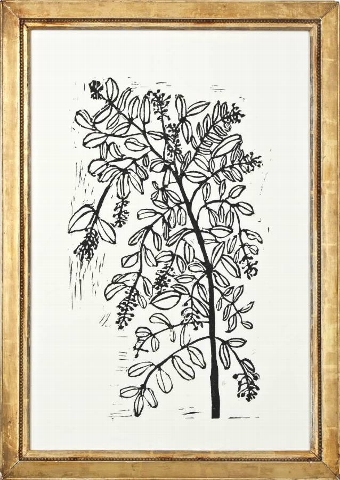 Privet in Vintage Frame