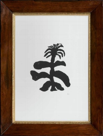 Spikey Head Plant in Vintage Frame
