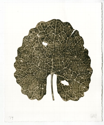 Leaf 2