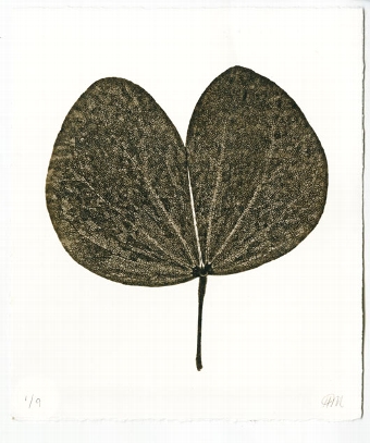 Leaf 3