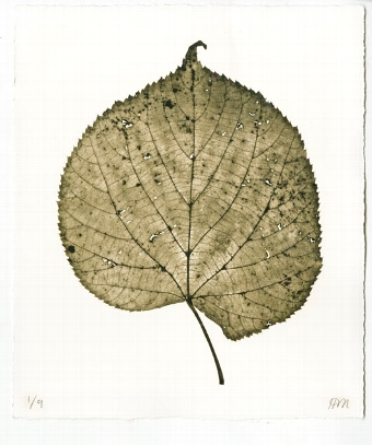 Leaf 4