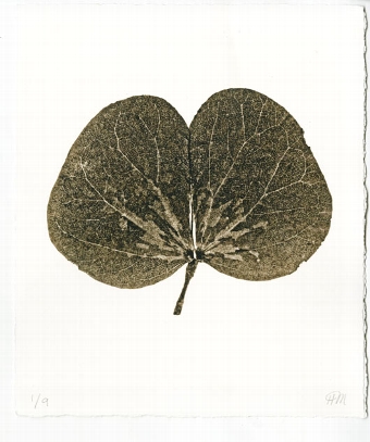 Leaf 5