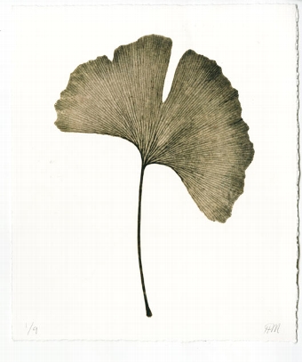 Leaf 6