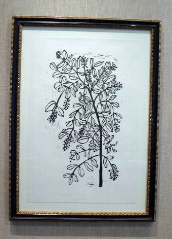 Privet in Vintage Frame
