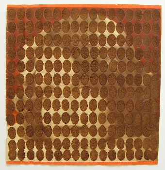 No Five  Untitled