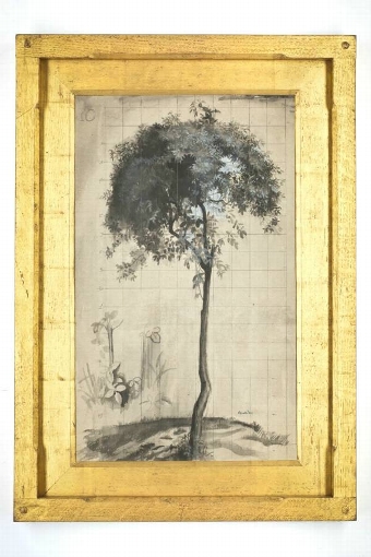 Reginal Brill  Study of a Tree