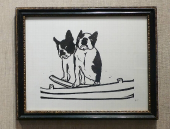Boston Terriers