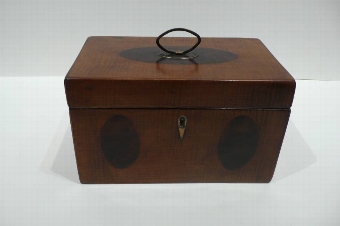 Georgian Harewood Tea Box