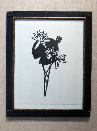 Water Lily