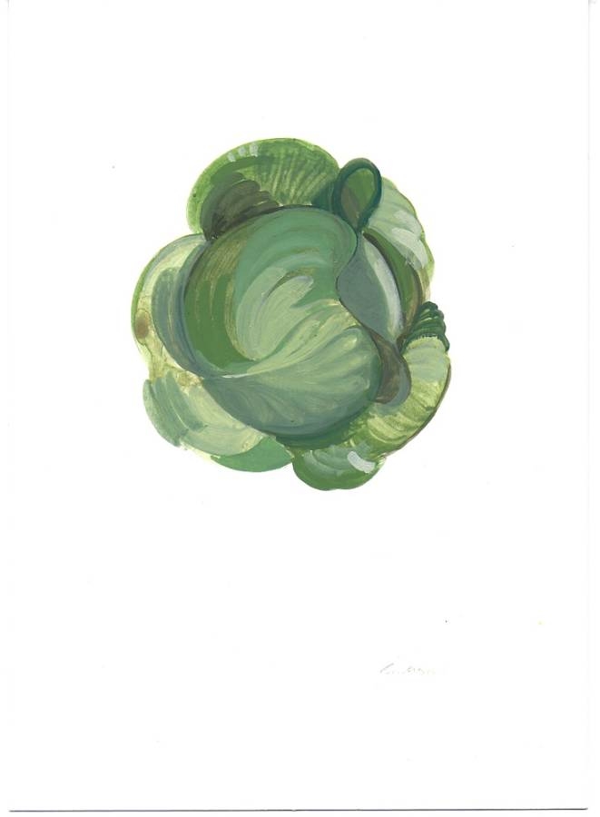 Untitled Cabbage