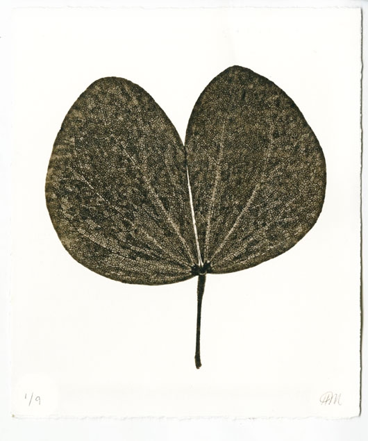 Antique Leaf 3