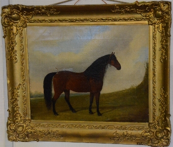 Framed picture of a horse in a meadow, signed and dated 1849