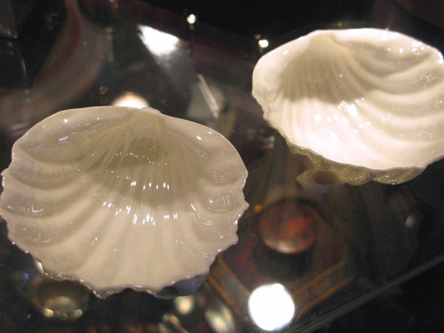 Nautilus Porcelain Oyster Dishes