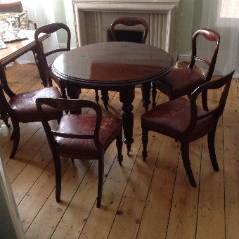 Antique ANTIQUE VICTORIAN (C1880) SET OF SIX MAHOGANY BALLOON BACK CHAIRS